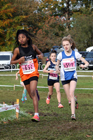 Girls under-13s National Cross Country Relay, Berry Hill Park, Mansfield. Photo:  David T. Hewitson/Sports for All Pics